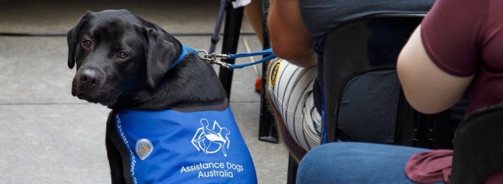 Assistance Dogs Australia